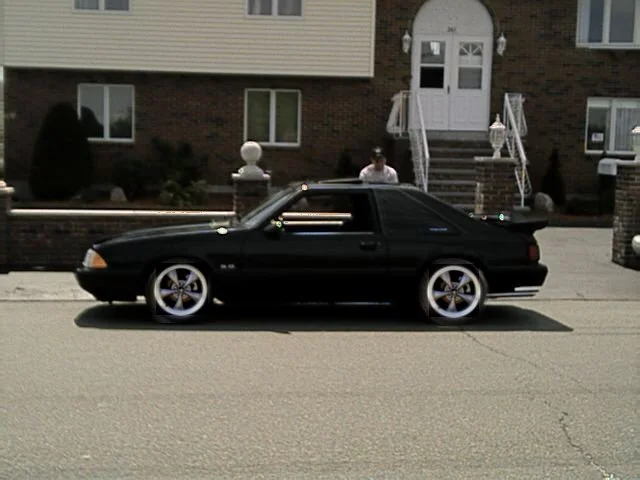 pic.webp