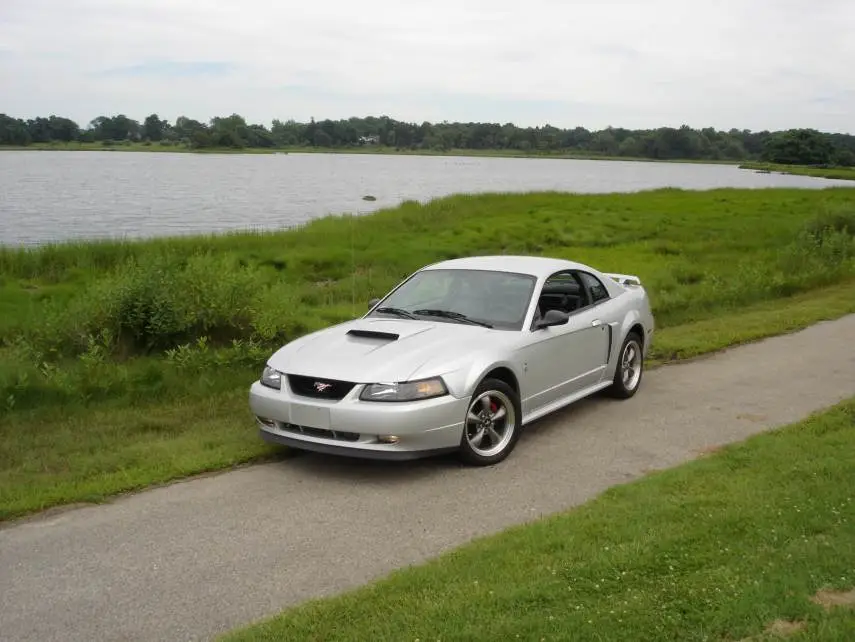 pic.webp