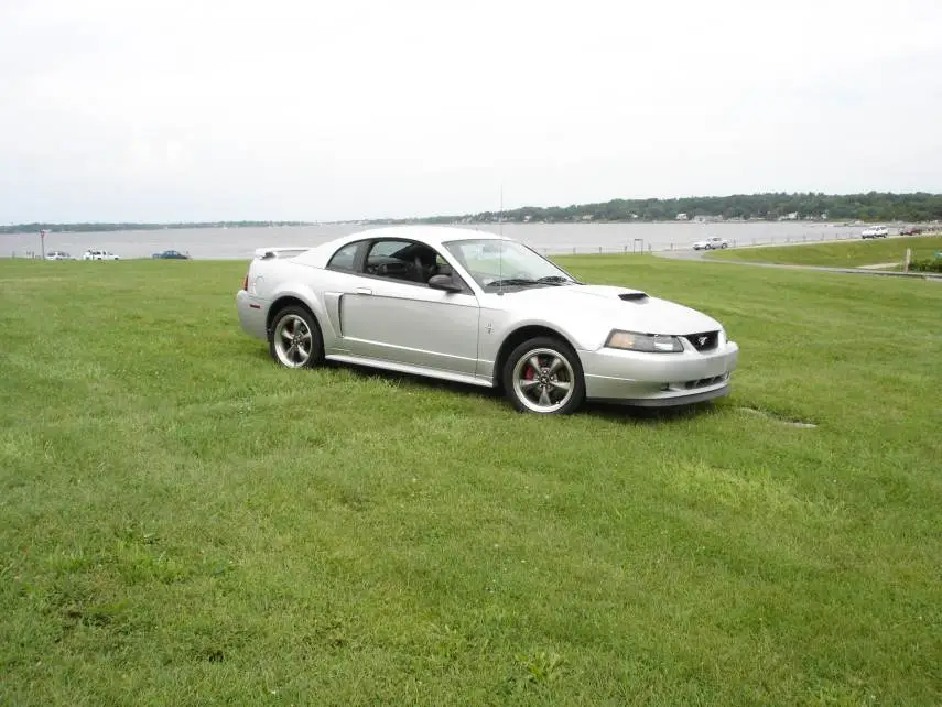 pic.webp