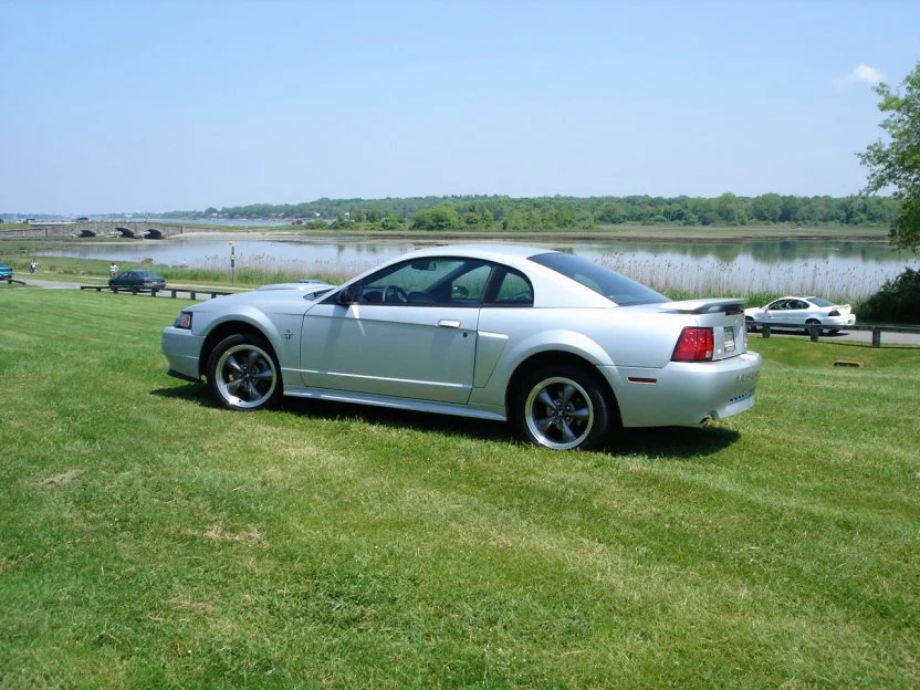 pic.webp