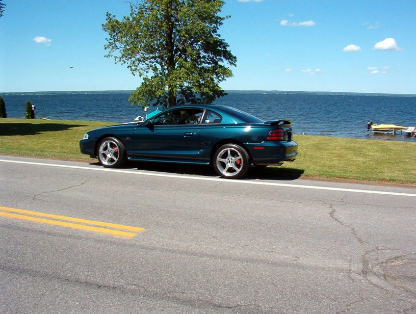 pic0004.webp