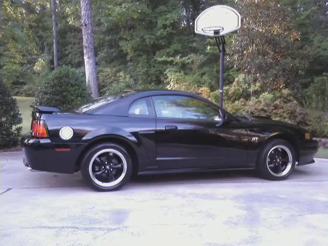 pic2.webp