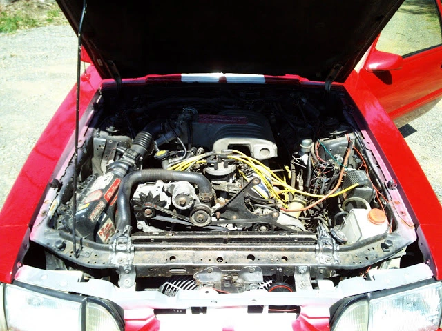 PIC_0030.webp