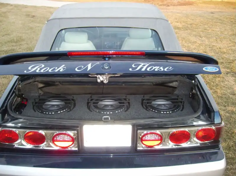 PIC_0048.webp