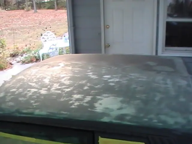 PIC_0071.webp