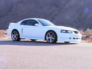 PIC_0072.webp