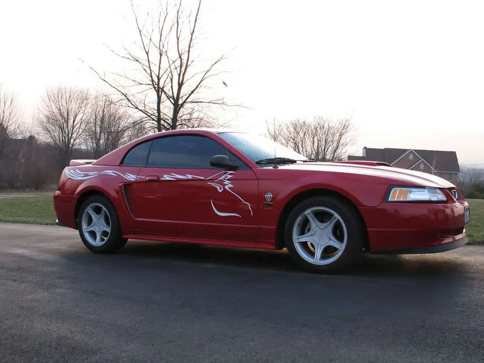 Pics-4-2-06001.webp