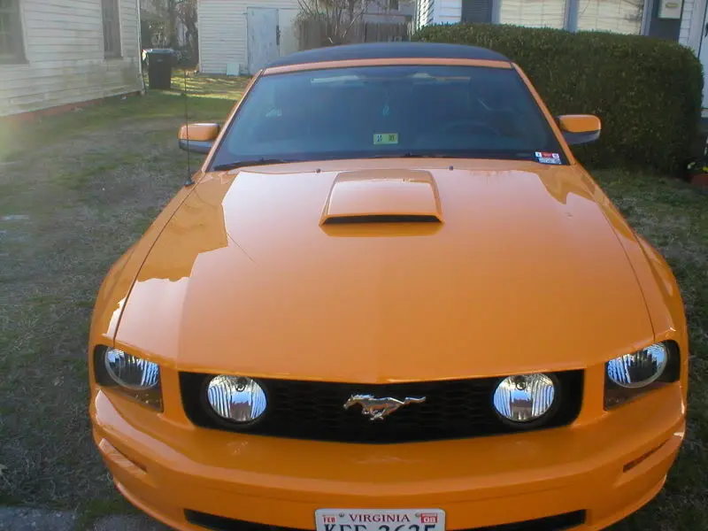 pics003.webp