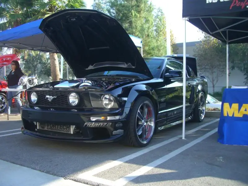 pics067.webp