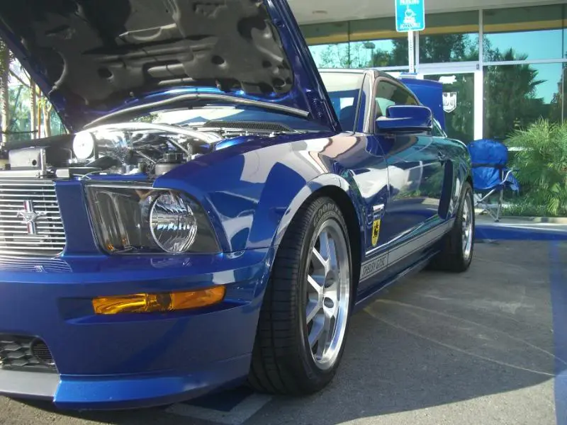pics077.webp
