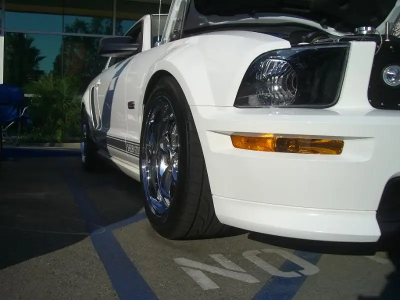 pics081.webp