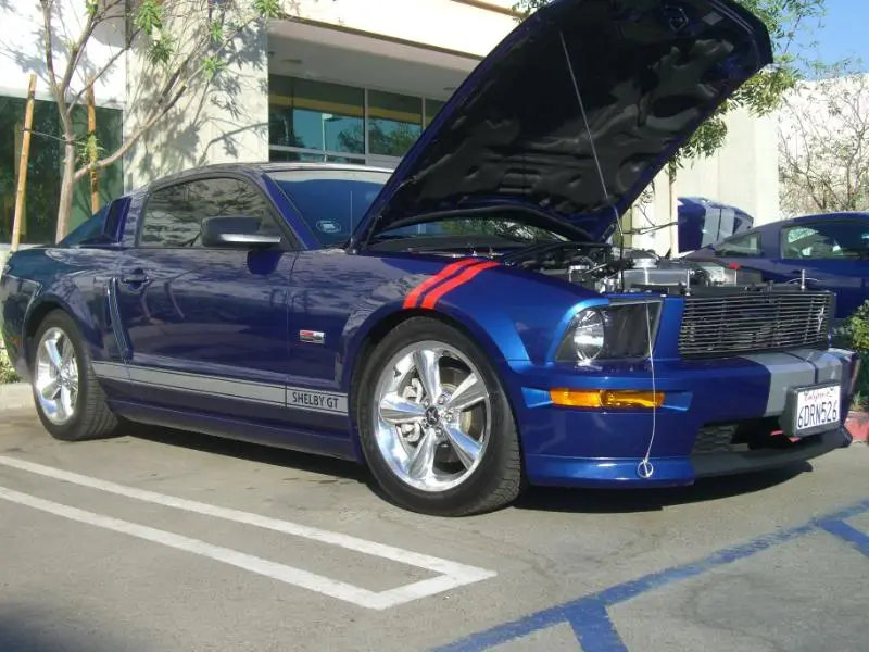 pics084.webp