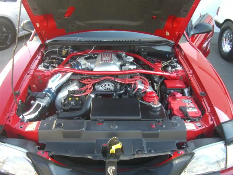 pics099.webp
