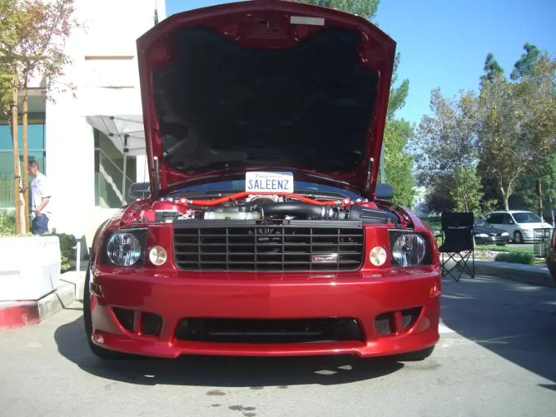 pics127.webp