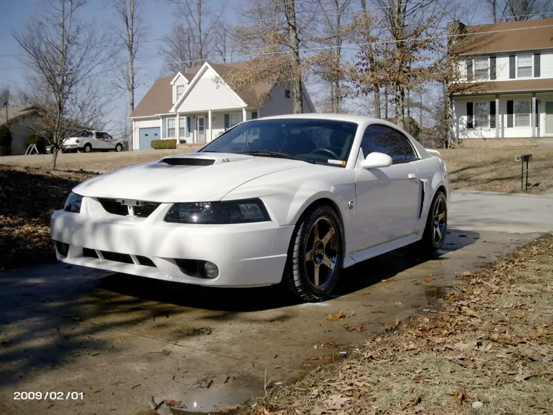 PICT0003.webp