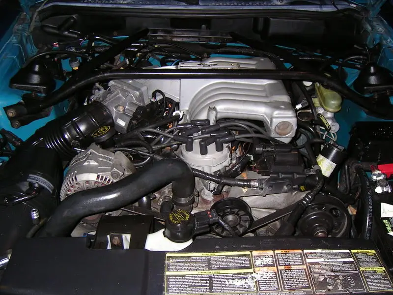 PICT0017.webp