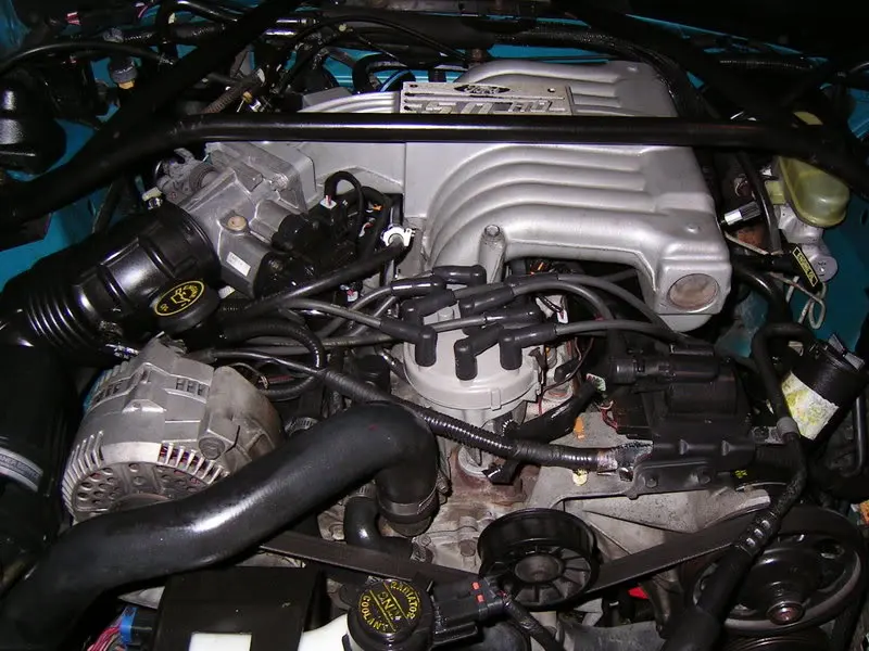 PICT0018.webp