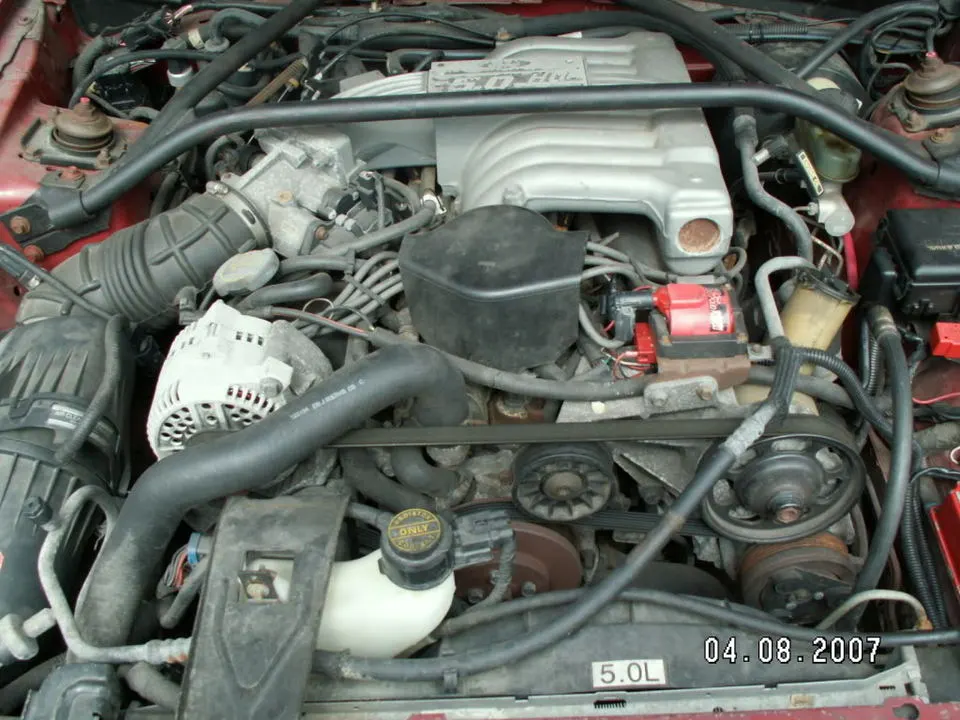 PICT0030.webp