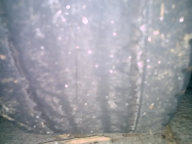 PICT0047.webp