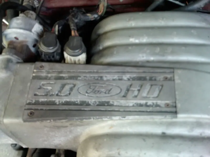 PICT0063.webp