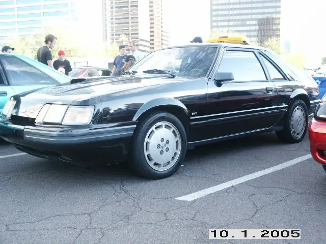 PICT0094.webp