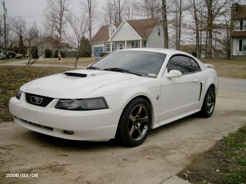 PICT0130.webp