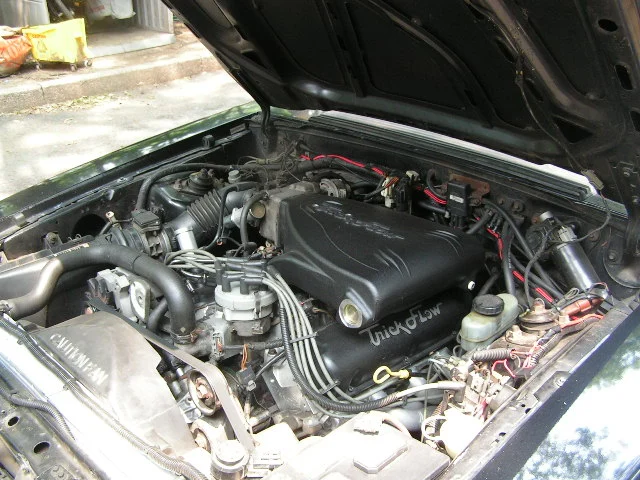 PICT0319.webp