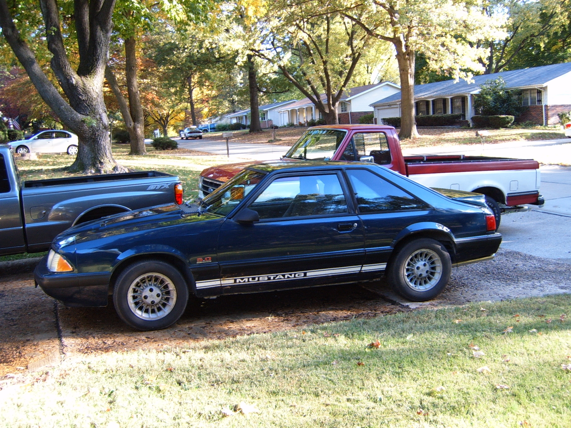 Picture 006.webp
