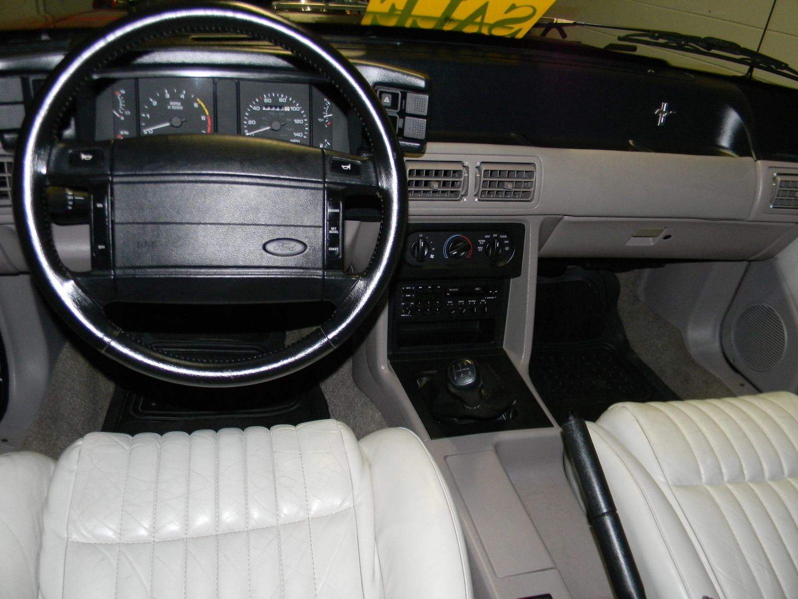 Picture 023.webp