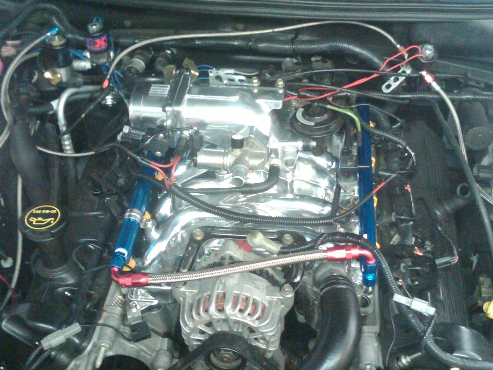 Picture 090.webp