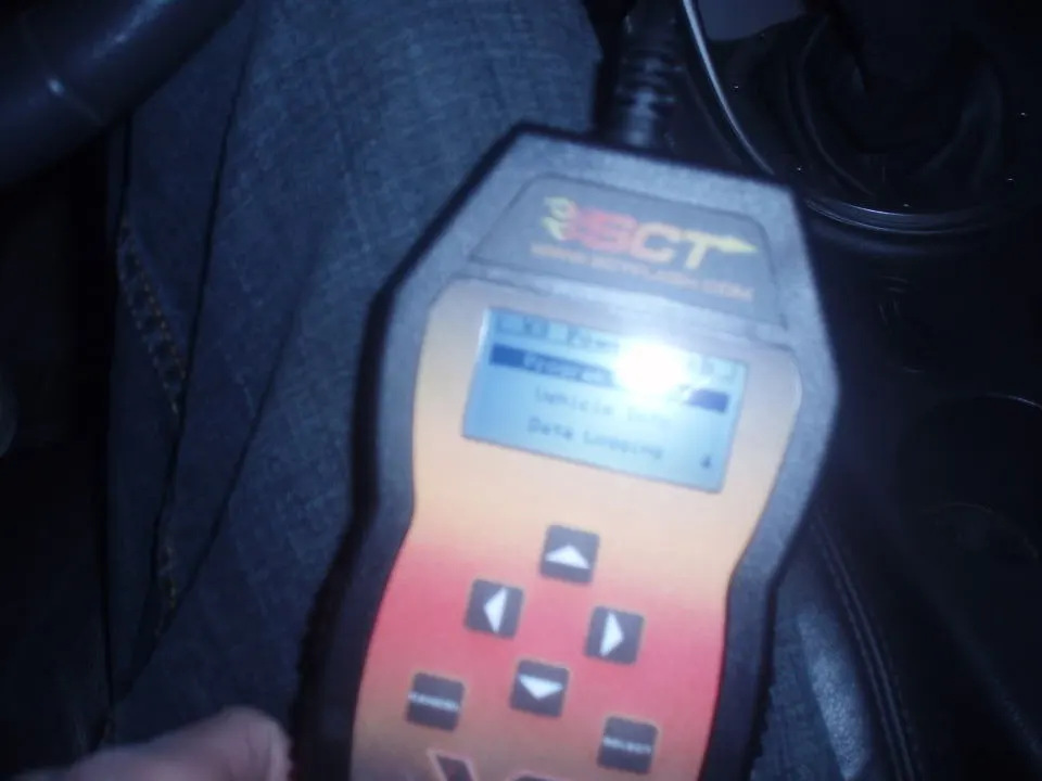 Picture-1.webp