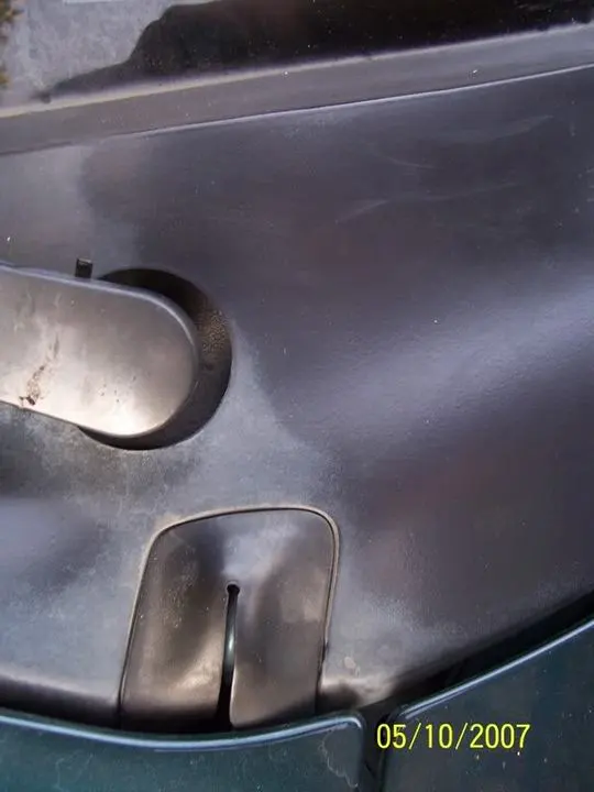Picture-1.webp