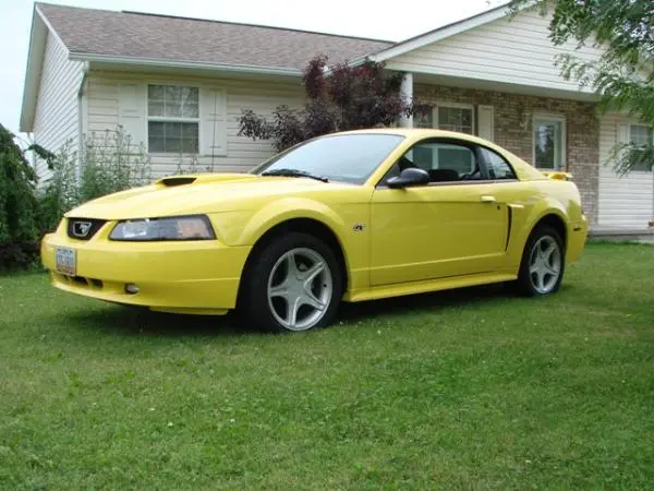 picture.webp