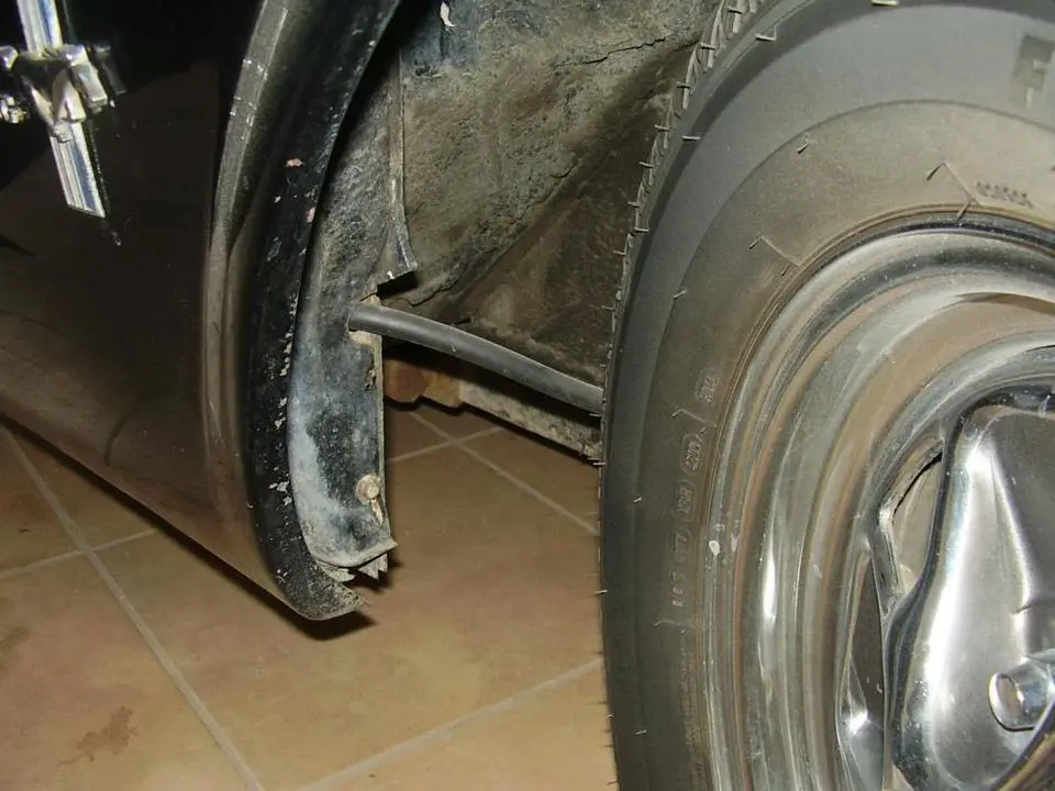 picture.webp