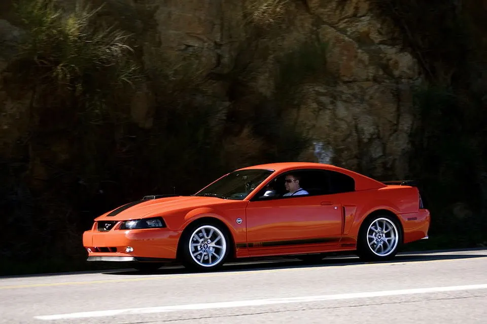 picture.webp