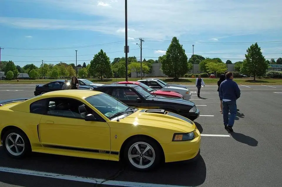 Picture001-1.webp