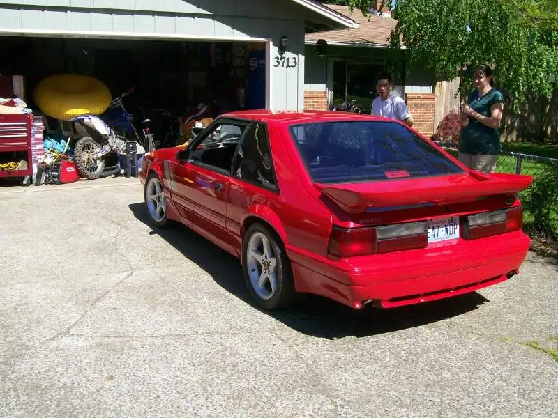 Picture001-2.webp