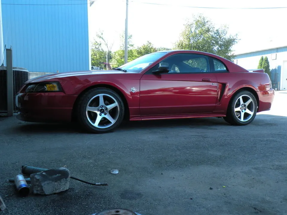 Picture001.webp
