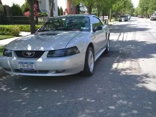 Picture001.webp
