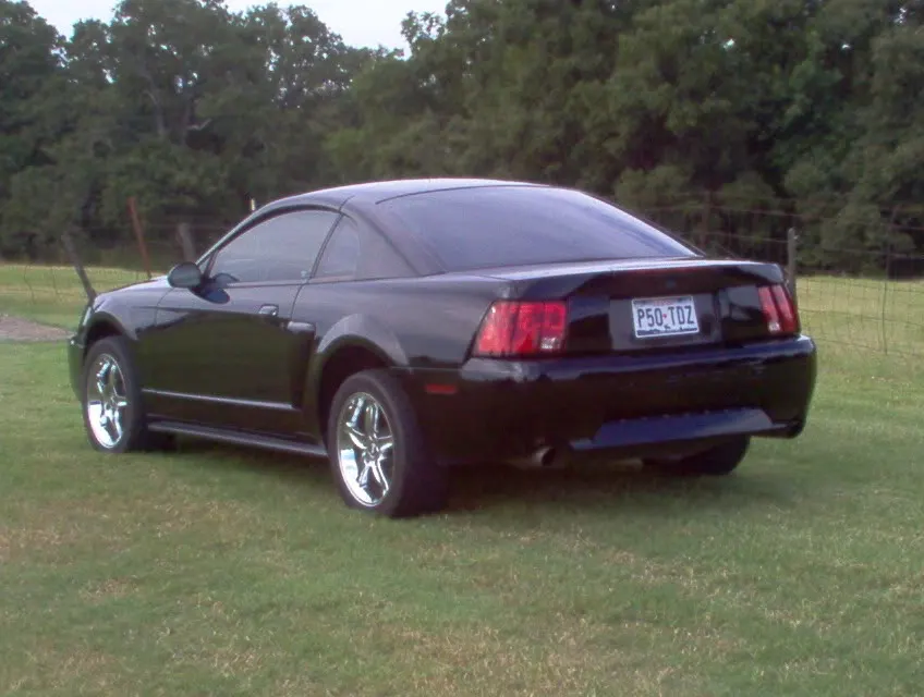 Picture001.webp