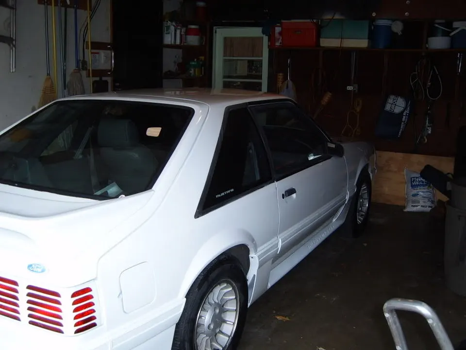 Picture001.webp