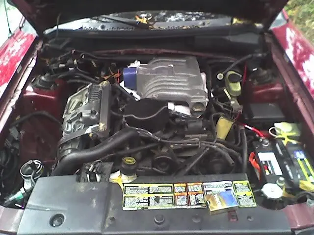 Picture001.webp