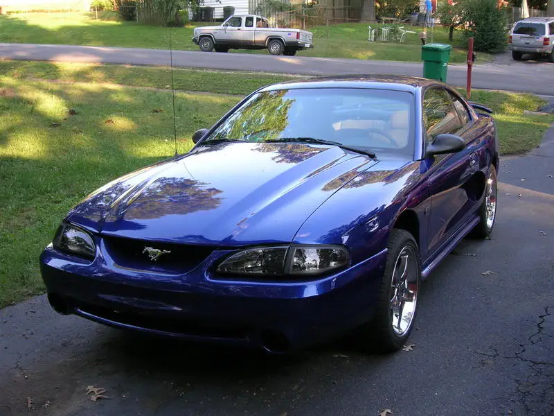 Picture001.webp