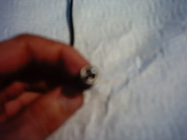 Picture001.webp