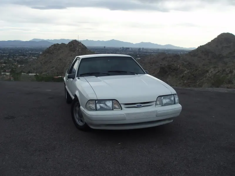 Picture002-1.webp