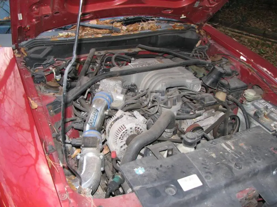 Picture002.webp