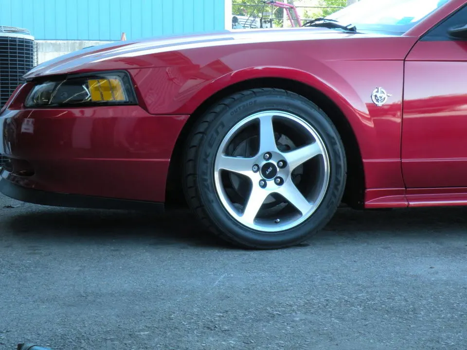 Picture002.webp