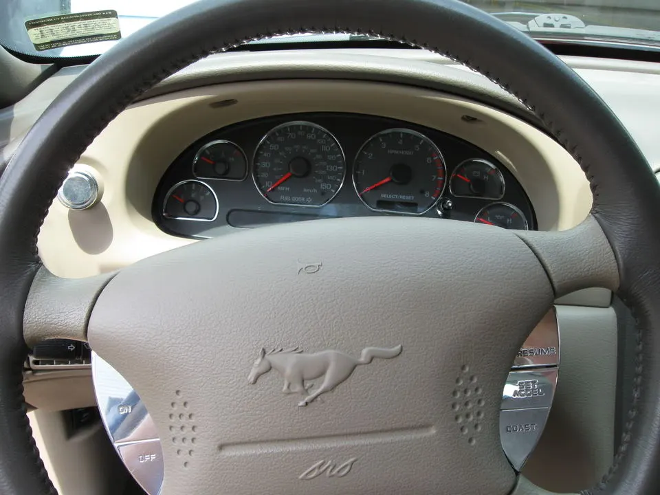 Picture002.webp
