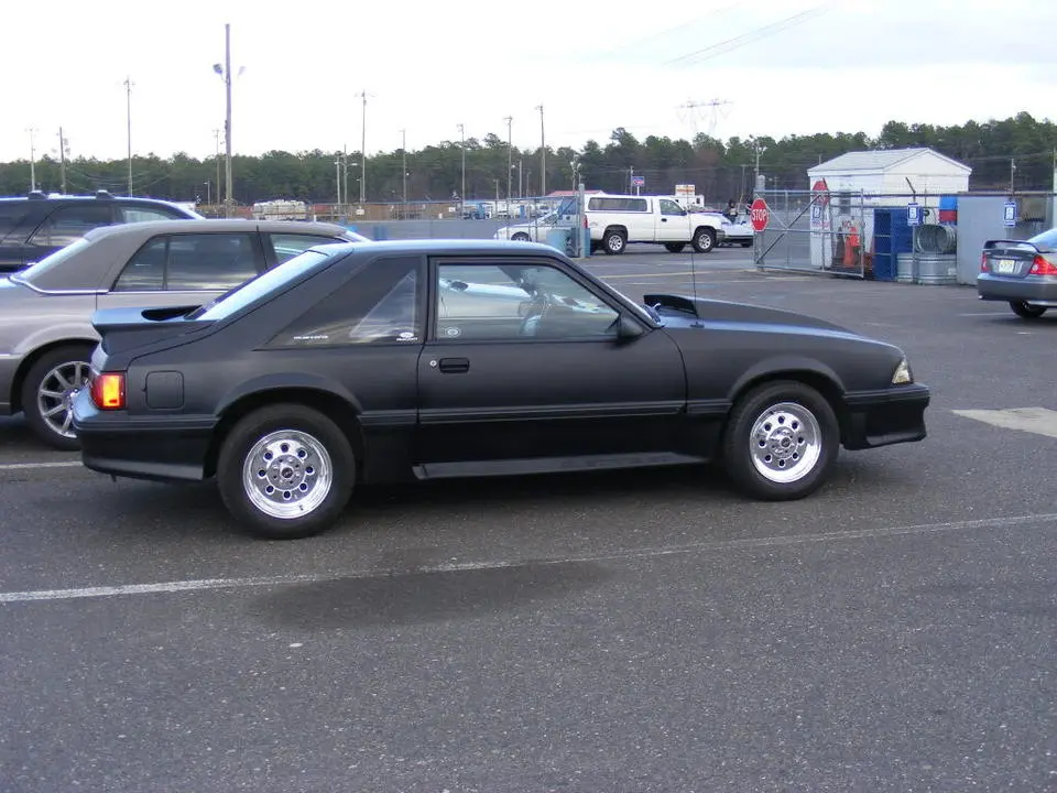 Picture002.webp