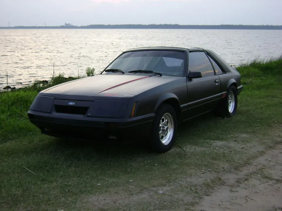 Picture002.webp